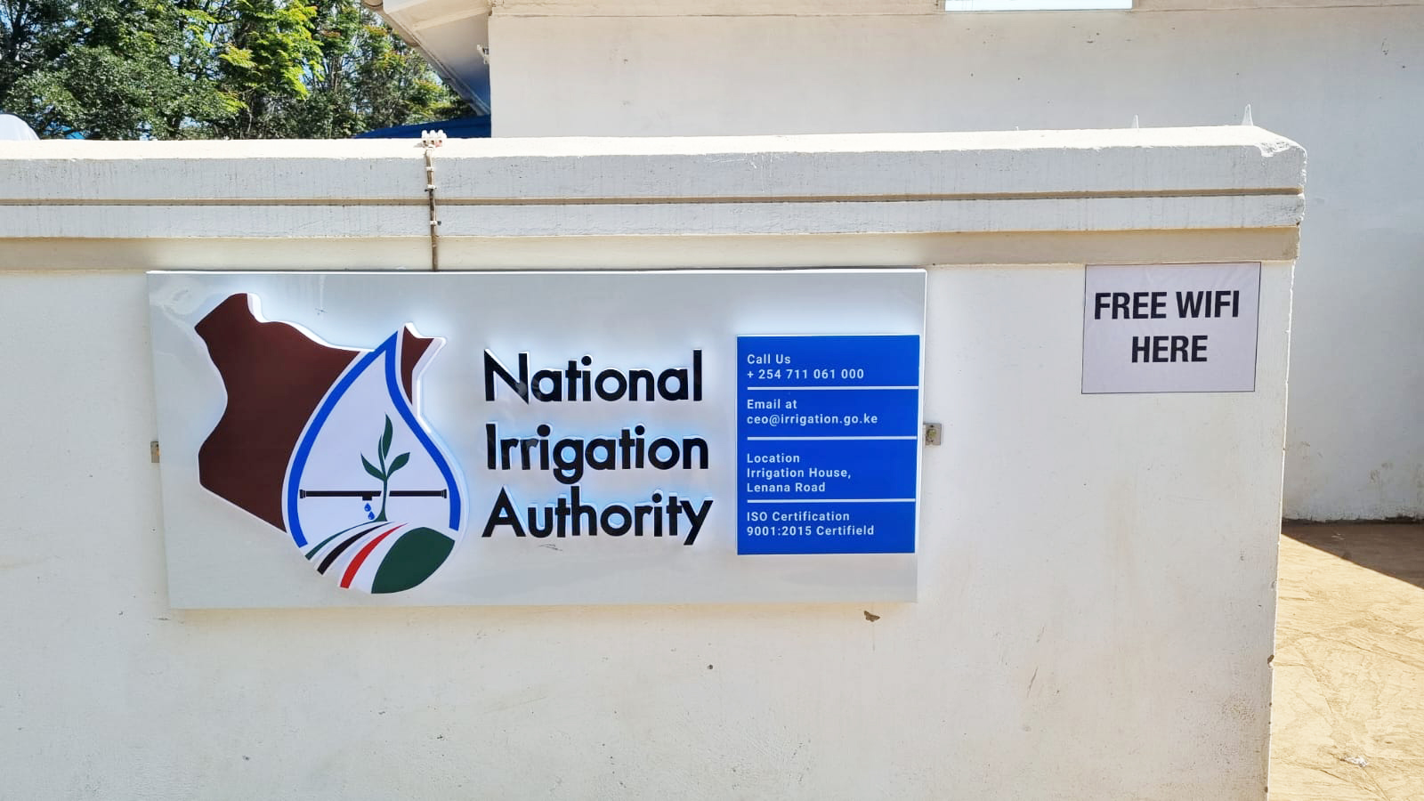 Reverse-lit Wall Signage